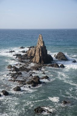 Doğal Park Cabo de Gata 'daki sirenler.
