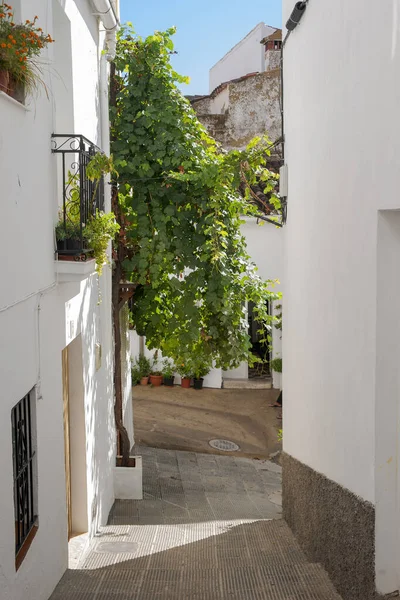 Hermosa Calle Del Municipio Rural Algatocn Provincia Málaga Andalucía — Foto de Stock
