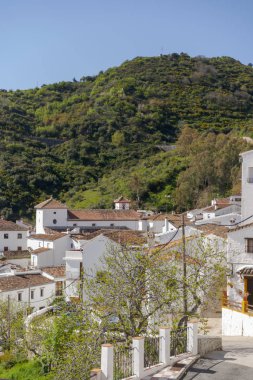 Genal Vadisi Belediyeleri, Malaga ili Benadalid