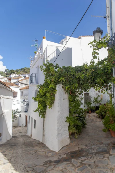 Street Andalusian Municipality Genalguacil Province Malaga — 스톡 사진