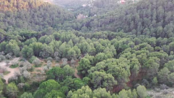 Coucher de soleil à Marbella vu de la montagne 