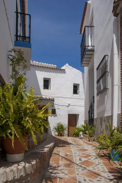 Street Municipality Comares Province Malaga Andalusia — Stock Photo, Image