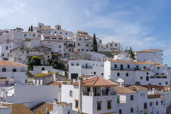 La Axarqua de Malaga Köyü, Kısraklar