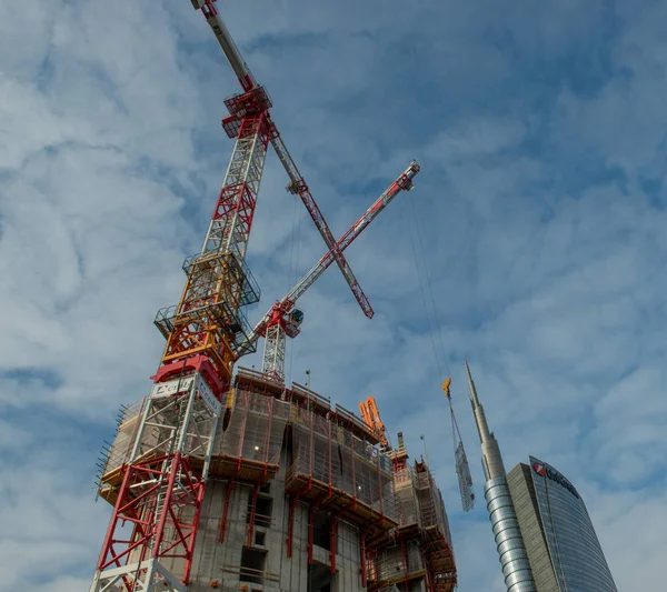 Construction of a new library of trees in the island district. In the architectural redevelopment project — Stock Photo, Image