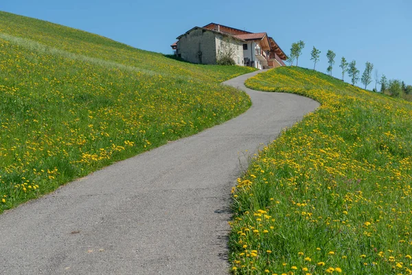 road that connects the house to the hills