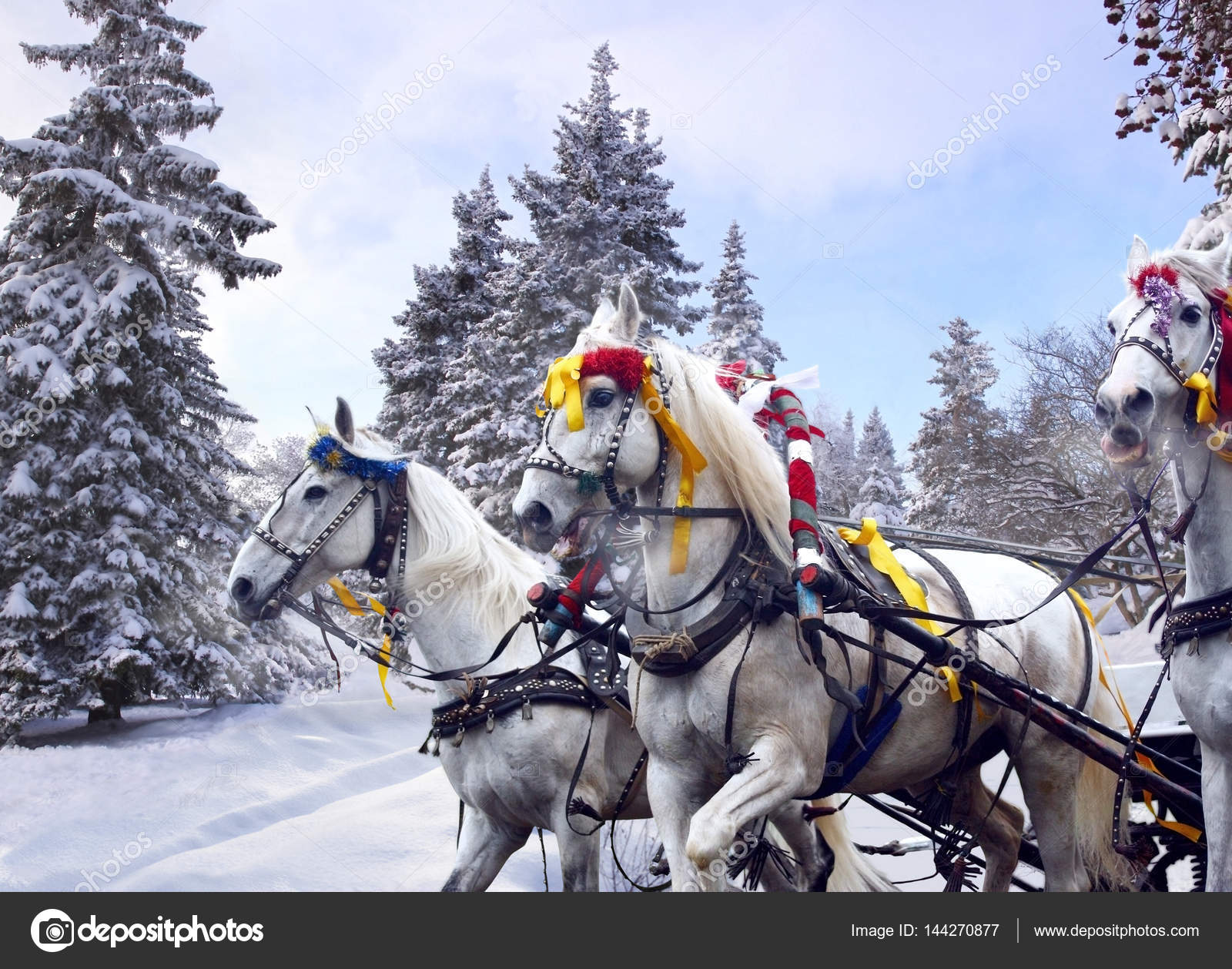 Тройка Зимой Фото