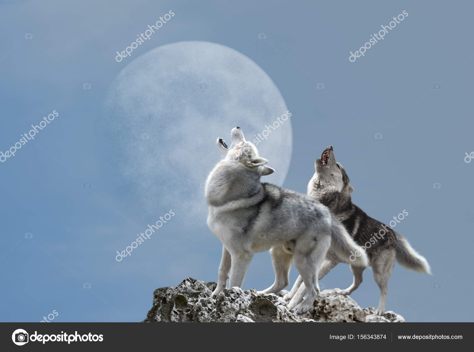 Why Do Huskies Howl At The Moon