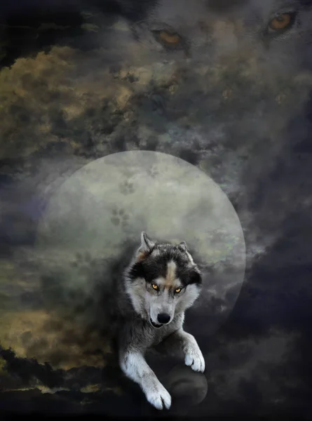 Lobo lunar - hombre lobo — Foto de Stock