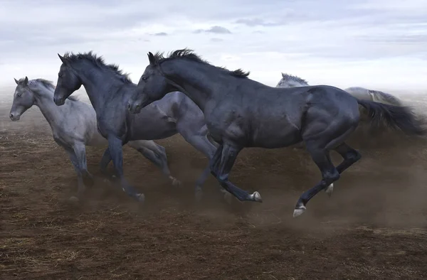 スウィフトの群れ馬無限の草原にジャンプ — ストック写真