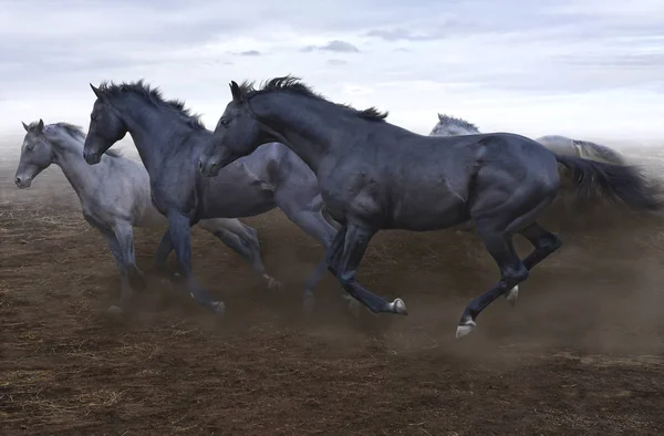 a herd of swift horses jumps on the boundless steppe