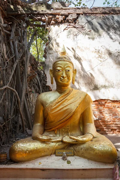 Goldene Buddha-Statue. — Stockfoto