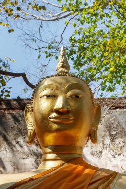 Altın Buda heykeli.