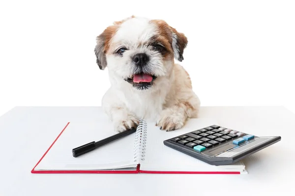 Dog with notebook and pen.