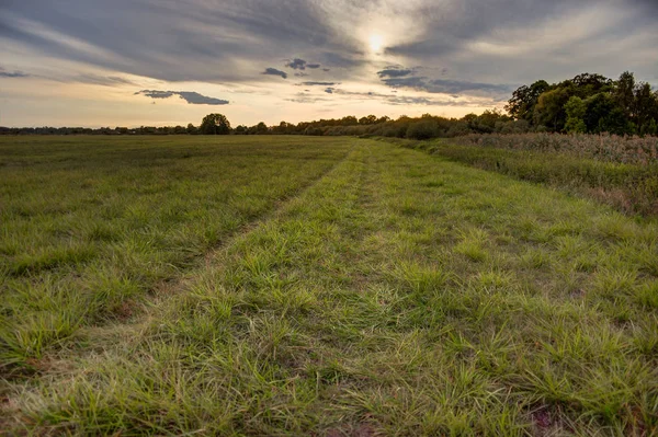 Çayır üzerinde gün batımı görünümü