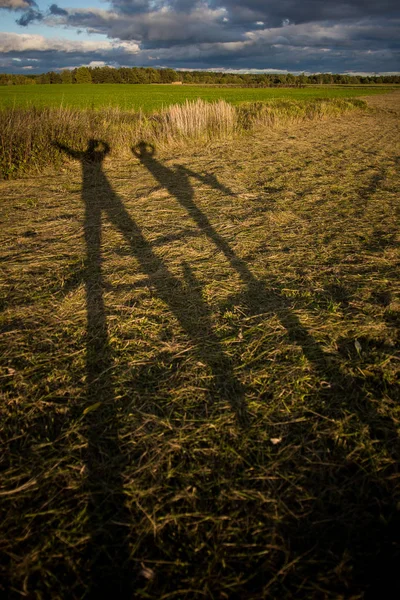 Gölgeli oyunun görüntüsü