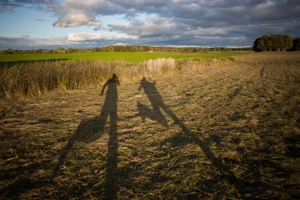 Gölgeli oyunun görüntüsü