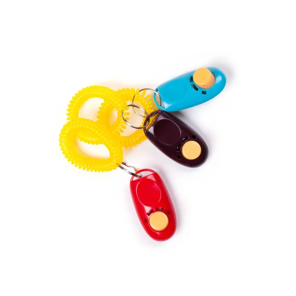 Ödül dürtüsü ile köpeği kendinden geçirmek için renkli klik..