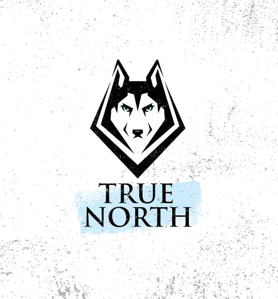 True North Club — Wektor stockowy