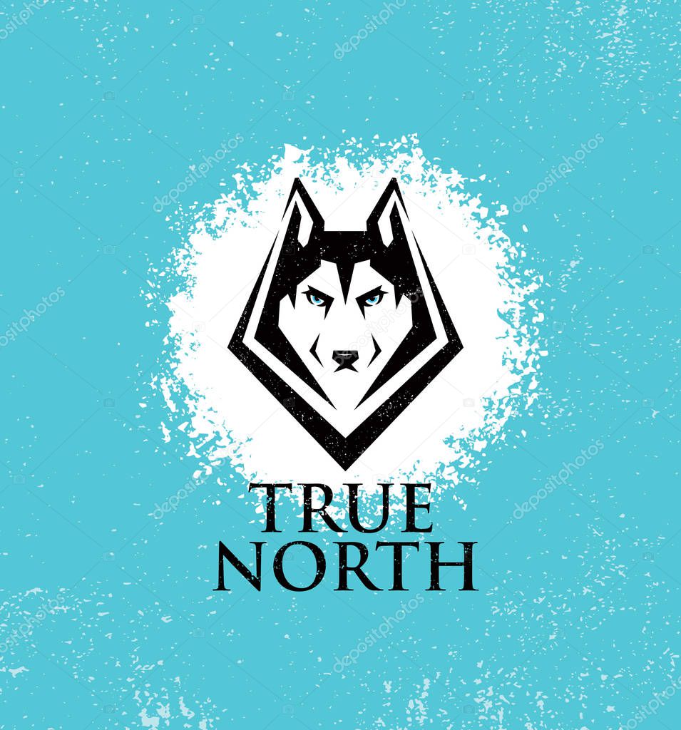 True North Club