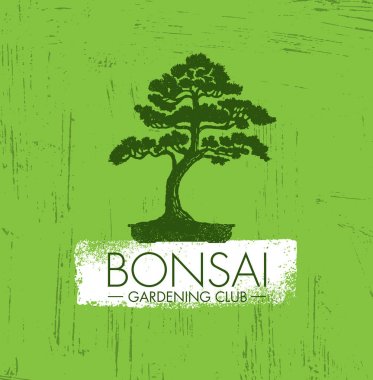 Peyzaj tasarım atölyesi