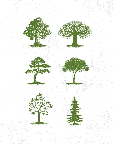 Sada zelených stromů — Stockový vektor