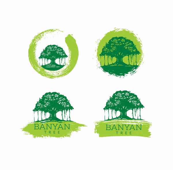 Elemento de diseño vectorial de curación holística del árbol de Banyan sobre fondo texturizado — Vector de stock