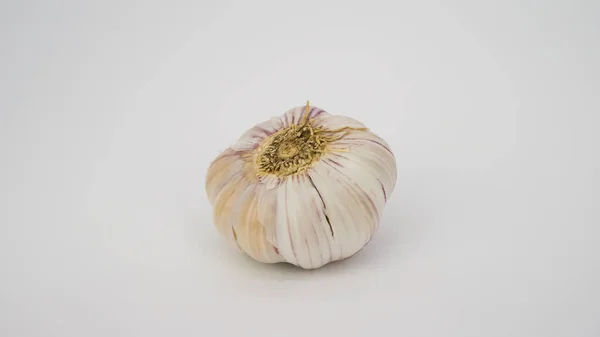 Beautiful Head Garlic White Background — Stock Photo, Image