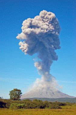 Karimskiy volkan Erüpsiyonu Kamçatka içinde