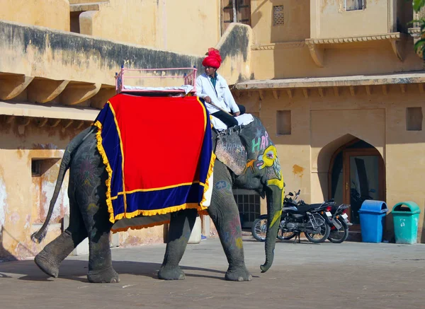 Jaipur, Hindistan - 3 Ocak 2015: Büyük fil tarihi Hint Amber Fort üzerinde 3 Ocak 2015 Rajasthan seyahat için. Amber Fort 1592 Kral Raja adam Singh tarafından yaptırılmıştır. 