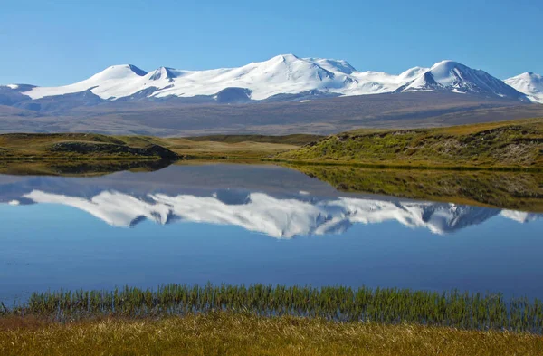Bozkır kıyı Gölü ile yüksek dağ kar buzullar buzlu manzara Ukok Yaylası, Altay, Sibirya, Rusya Federasyonu