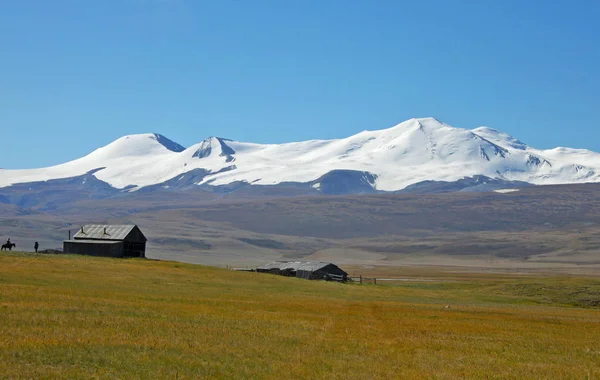 Tabyn-Bogdo-Ola dağ massif, plato Ukok, Altay Dağları, Sibirya, Rusya Federasyonu 