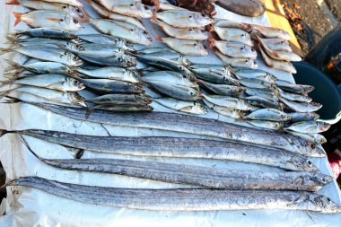 Essaouira eski şehirde Fas Market çiğ balık