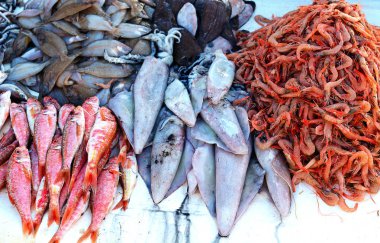 Çiğ balık, mürekkep ve karides Essaouira eski şehirde Fas Market