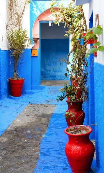 在拉巴特、 摩洛哥、 非洲 udayas kasbah 的七彩街 — 图库照片