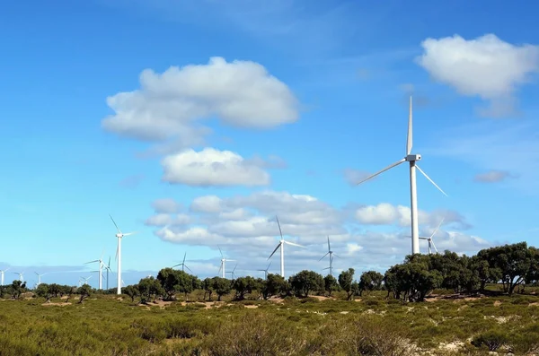 Essaouira, Fas - 6 Ocak 2016: Yağmurdan sonra Essaouira plaj şemsiyeleri 