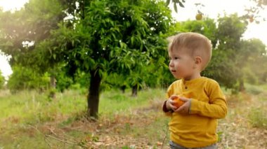 Turuncu meyve Bahçesi elinde tutan küçük bir çocuk. Meyve Grove genç çocuk