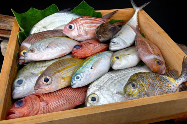 Mezclar coloridos peces frescos . —  Fotos de Stock