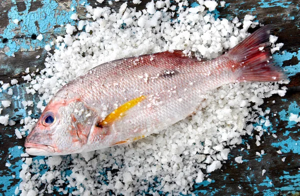 Peixe-pargo-vermelho do mercado da pesca . — Fotografia de Stock