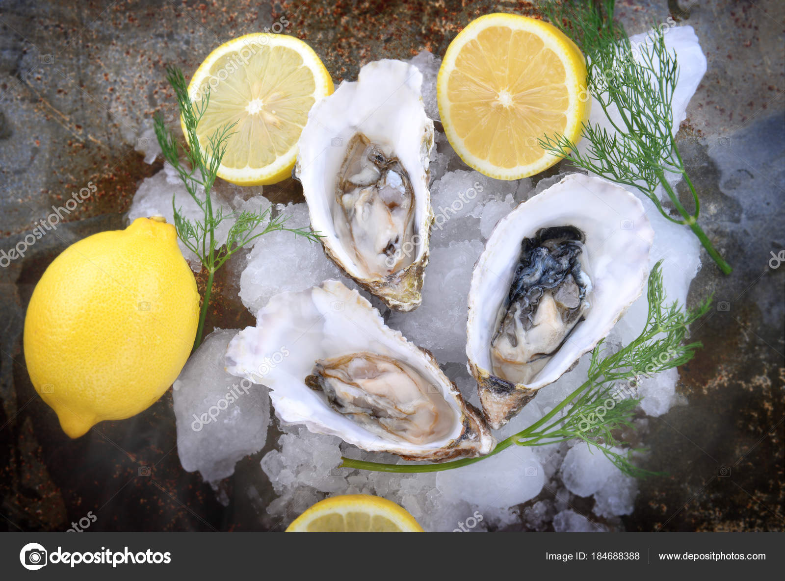 France oysters open and set with ice and lemon — Stock Photo © lewzsan