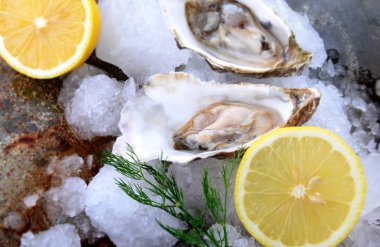 Fransa istiridye açık ve buz ve limon ile ayarlama