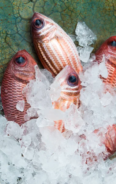 Červené ryby z rybolovu trhu. — Stock fotografie