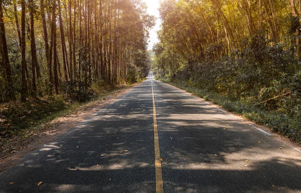 Weg met bomen kant in het najaar. — Stockfoto