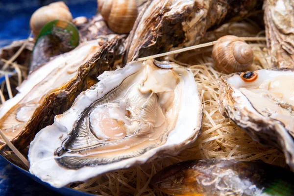 Öppnade ostron på Folkmusik inredda plattan med citron och oyster kniv i restaurang utfodring med ros champagne — Stockfoto