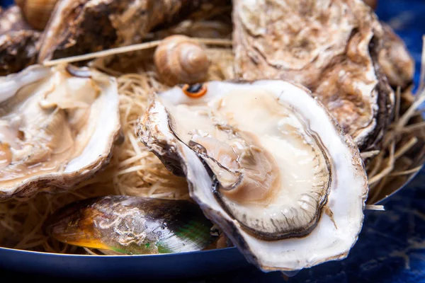 Öppnade ostron på Folkmusik inredda plattan med citron och oyster kniv i restaurang utfodring med ros champagne — Stockfoto