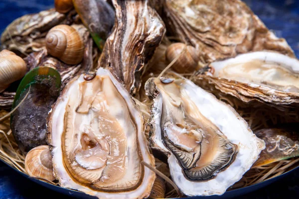 Öppnade ostron på Folkmusik inredda plattan med citron och oyster kniv i restaurang utfodring med ros champagne — Stockfoto