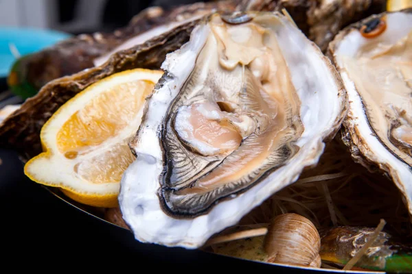 Öppnade ostron på Folkmusik inredda plattan med citron och oyster kniv i restaurang utfodring med ros champagne — Stockfoto