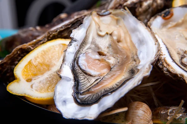 Öppnade ostron på Folkmusik inredda plattan med citron och oyster kniv i restaurang utfodring med ros champagne — Stockfoto