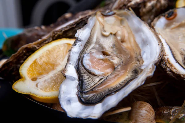 Öppnade ostron på Folkmusik inredda plattan med citron och oyster kniv i restaurang utfodring med ros champagne — Stockfoto