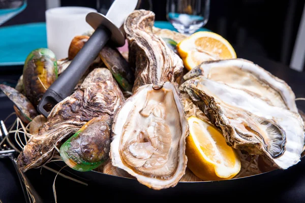 Öppnade ostron på Folkmusik inredda plattan med citron och oyster kniv i restaurang utfodring med ros champagne — Stockfoto