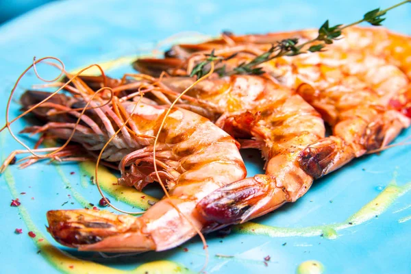 Grilled shrimps with rosemary on the blue plate served in restaurant with sous and wine — Stock Photo, Image